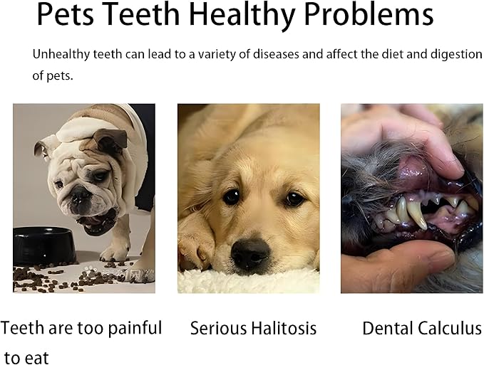 LINGXIYA Pet Toothbrushes Dog Cleaning Toothbrush Extra Soft Dog Toothbrushes for Puppy Small Dog and Cat Teeth Care Dog Toothbrush Pet Cat Dog Toothbrush 4 Pack Kit (Blue/Black/Pink/Brown)