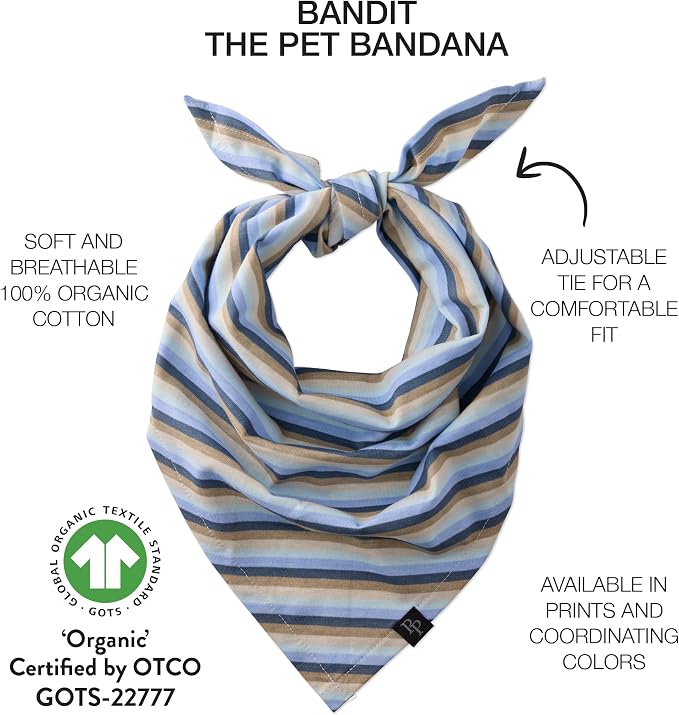 Pet Passion Bandit, Medium/X-Large, 3-Pack, Small, Blue