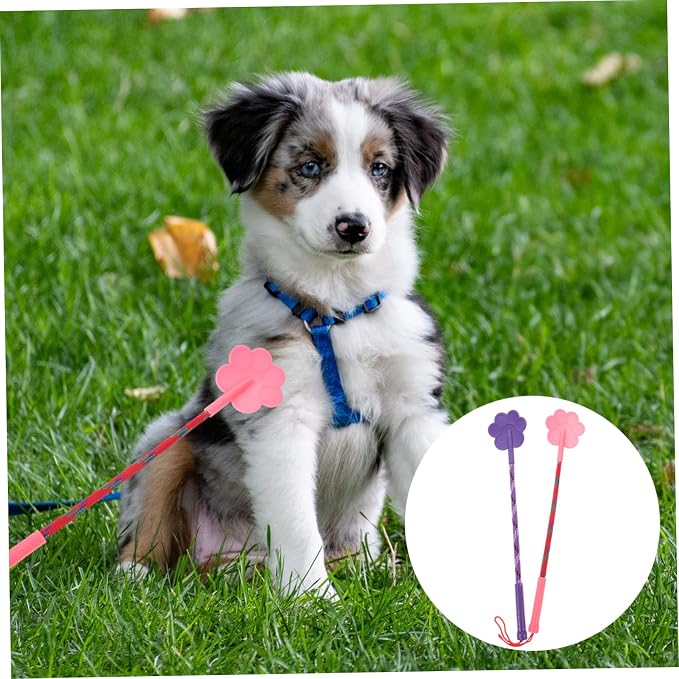 TOYANDONA Dog Training Equipment, 2 Pcs