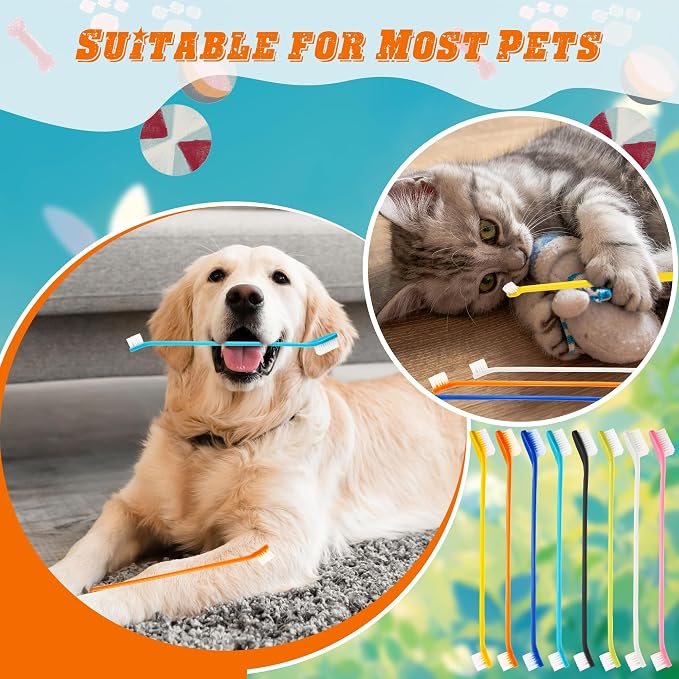 160 Pcs Dog Toothbrush Dual Head Dental Brushes Bulk Pet Tooth Brushing Kit Puppy Long Handle Toothbrush for Large and Small Dogs Cats Most Pets Teeth Cleaning Oral Care Supplies, 8 Colors