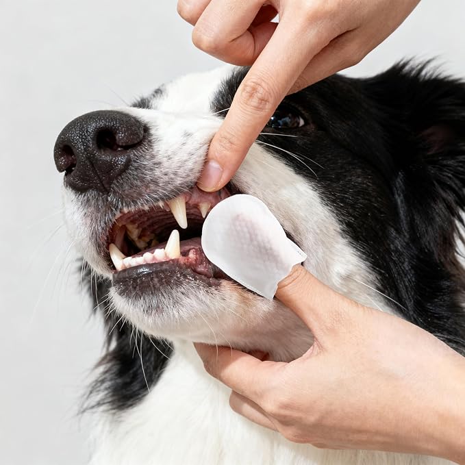 PWP1005A Dog Dental Finger Wipes for Teeth Cleaning & Breath Freshening, Infused with Aloe Vera, Coconut Oil & Honey, Removes Plaque & Tartar, Hypoallergenic Care, 60 Count