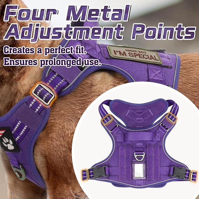 rabbitgoo Tactical Dog Harness for Small, No Pull Military Service Vest | Molle & Handle, Heavy Duty, Adjustable, Reflective Straps, Easy Control for Training Walking, Purple, Small