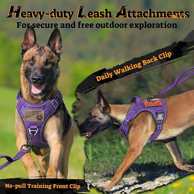 rabbitgoo Tactical Dog Harness for Large Dogs, No Pull Service Pet Vest | Military Molle System & Easy Control Handle, Adjustable and Reflective for Walking and Training, Purple, Large