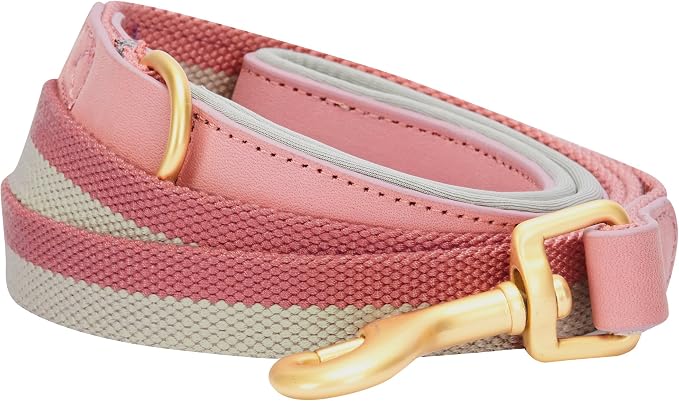 Blueberry Pet Polyester Fabric Webbing and Soft Genuine Leather Dog Leash with Soft & Comfortable Handle, 6 ft x 3/4", Pink and Grey, Leashes for Dogs