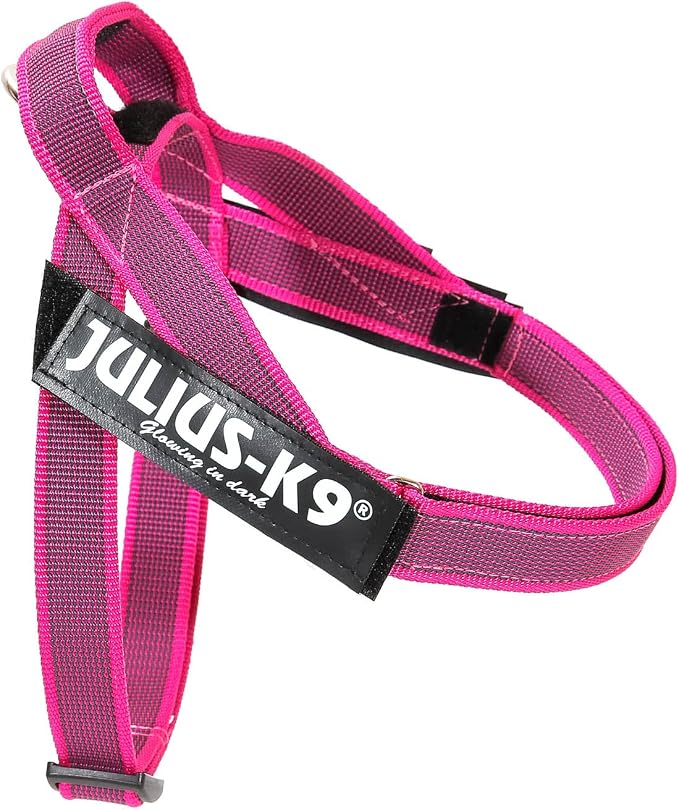 IDC Color & Gray Belt Harness, Size: XS/Mini-Mini, Pink-Gray