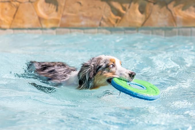 Chuckit! Amphibious ZipFlight Floating & Flying Disc Dog Toy, Medium, 8.5in, Assorted Colors