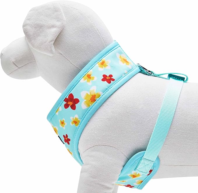 Blueberry Pet Soft & Comfy Fragrant Plumeria Dog Harness Vest, Aqua, Chest Girth 19.5" - 26", Medium, Adjustable Harnesses for Dogs