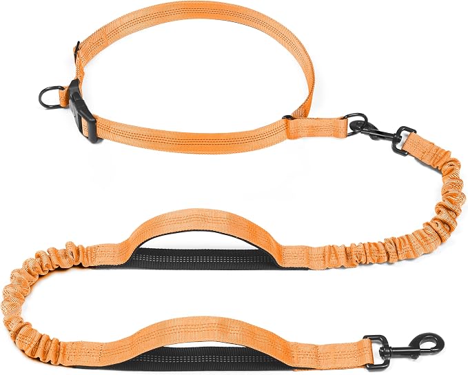 iYoShop Retractable Hands Free Dog Leash, Medium/Large, 25-150 lbs, Orange | Bungee Waist Leash, Dual Handles, Adjustable Waist Belt, Walking and Running