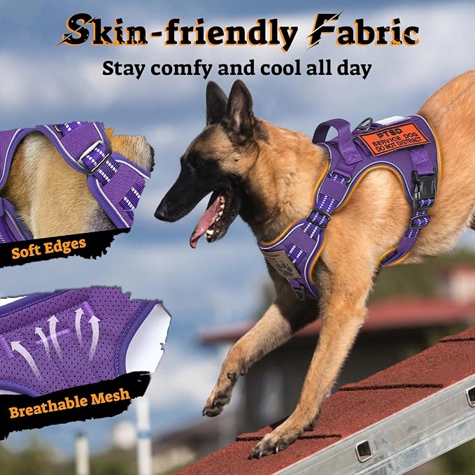 rabbitgoo Tactical Dog Harness for Large Dogs, No Pull Service Pet Vest | Military Molle System & Easy Control Handle, Adjustable and Reflective for Walking and Training, Purple, Large