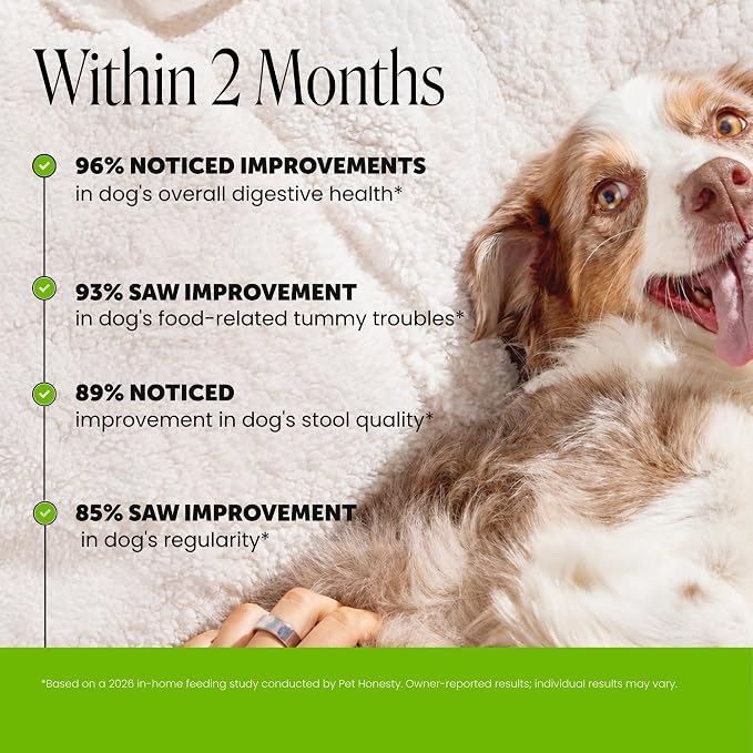 Pet Honesty Probiotic Chews for Dogs - Pumpkin, 90ct