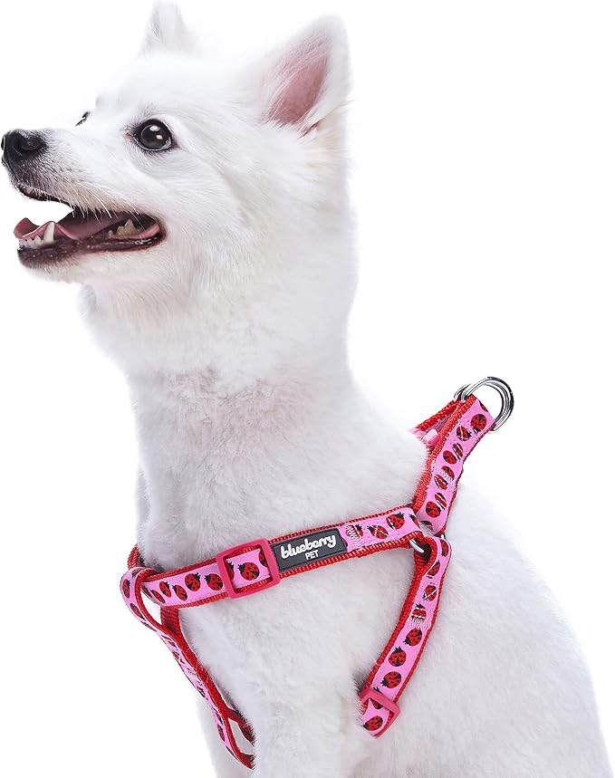 Blueberry Pet Essentials 2 Patterns Step-in Ladybug Designer Dog Harness, Chest Girth 16.5" - 21.5", Small, Adjustable Harnesses for Dogs