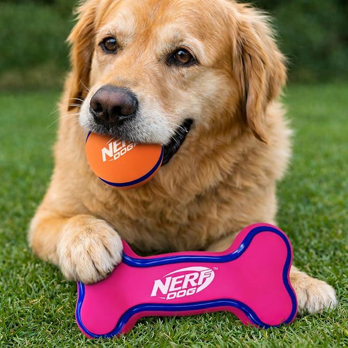 Nerf Dog 2.5in Latex Squeak Ball and 5in Latex Squeak Bone 2-Pack -Pink/Blue and Orange/Blue