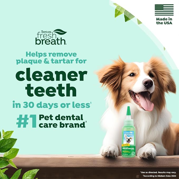 TropiClean Oral Care Brushing Gel for Dogs & Cats| Dog Toothpaste | Pet Dental Gel | Dog Teeth Cleaning Use with Pet Toothbrush | 2 oz