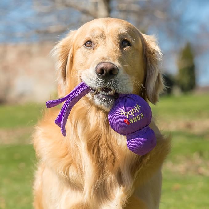 KONG Wubba Tug of War and Fetch Dog Toy, for XL Dogs | Indoor & Outdoor Toy for Puppy & Dog Playtime, Great for Tug of War & Fetch, Color Randomly Provided