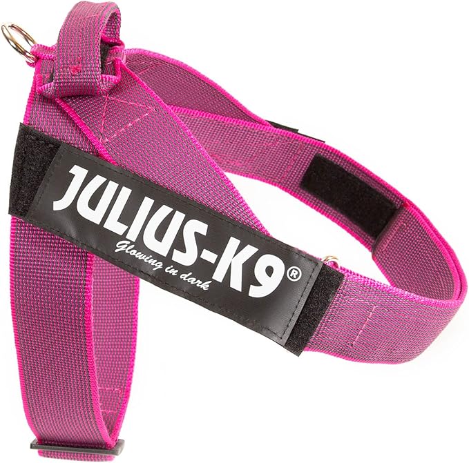 Julius-K9 IDC Color & Gray Belt Harness, Size: 2XL/3, Pink-Gray
