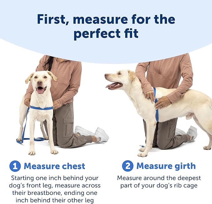 PetSafe Easy Walk Deluxe Dog Harness, No Pull Dog Harness – Perfect for Leash & Harness Training – Stops Pets from Pulling and Choking on Walks – Medium/Large, Steel