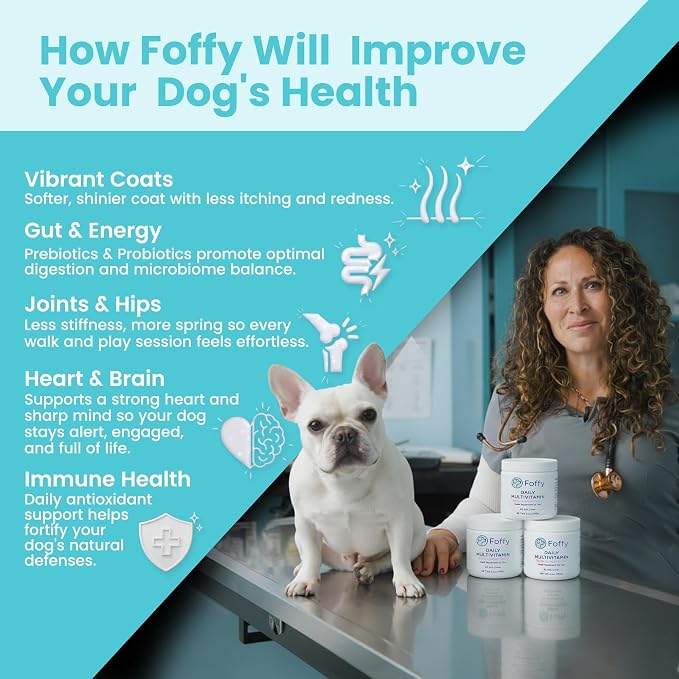 Foffy Daily Dog Multivitamin Soft Chews - Hip & Joint, Skin & Coat - 60 CT