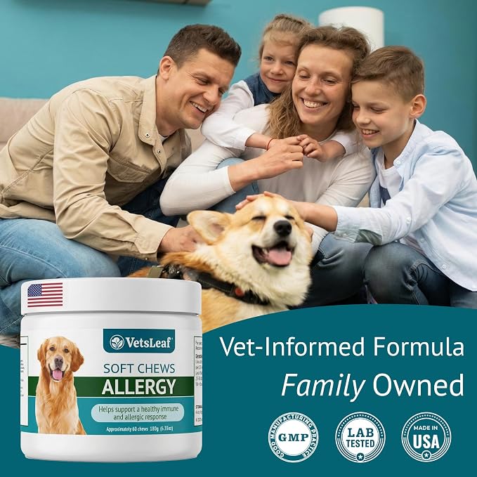 Dog Allergy Chews for Itchy Skin, Hot Spots, Paw Licking Relief & Itchy Ears – Quercetin, Turmeric, Probiotics & Colostrum – Made in USA – 60 Count