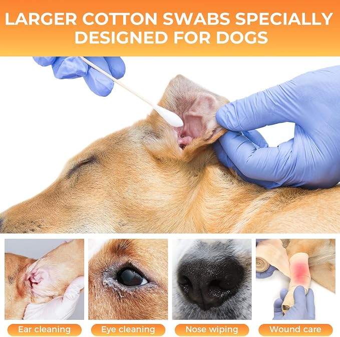 OwnWise 200pcs Extra Large Cotton Swabs, Long Wooden Cotton Swab for Dog Ears Cleaning, Highly Absorbent Big Cotton Balls Jumbo Size with 6 Inch Bamboo Sticks