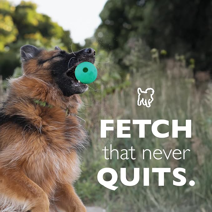 Chew King Fetch Balls Extremely Durable Natural Rubber Toy 4 inch, 2 Pack (CM-10031-CS01)