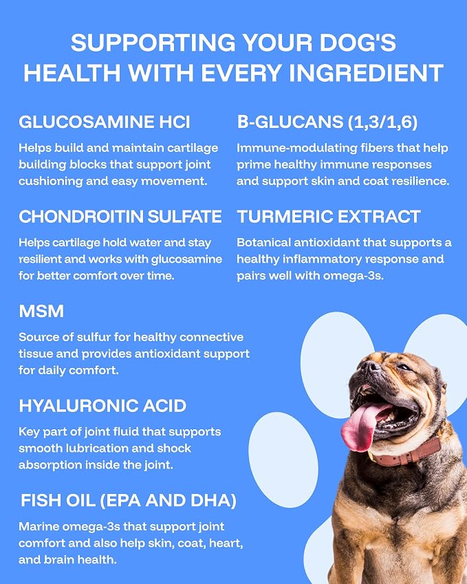 Pawprint Wellness Protocol Liquid Multivitamin for Dogs – All‑in‑One Hip & Joint, Skin & Coat, Immune & Heart Support – Dog Vitamins with Glucosamine, Chondroitin, MSM, Omega‑3 Fish Oil – 2 fl oz