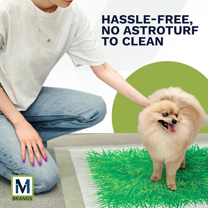 Big Dawg Pet Supplies Absorbent Puppy Pee Pads for Dogs & Cats – 24x24” Disposable Pet Pads – Handy Grab-n-Go Box – Potty Training & Housebreaking Supplies – Color, Grass – 40pc