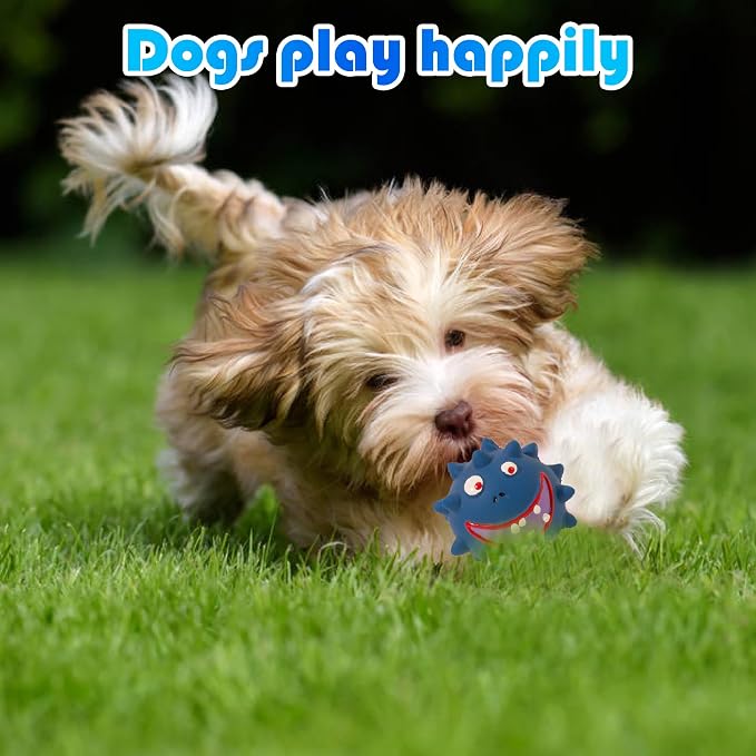 TTCOLATOPIA 4Pcs Squeaky Dog Toys Set - Non-Toxic Natural Latex Rubber Balls for Large, Medium, Small Dogs - Cute Faces for Fun