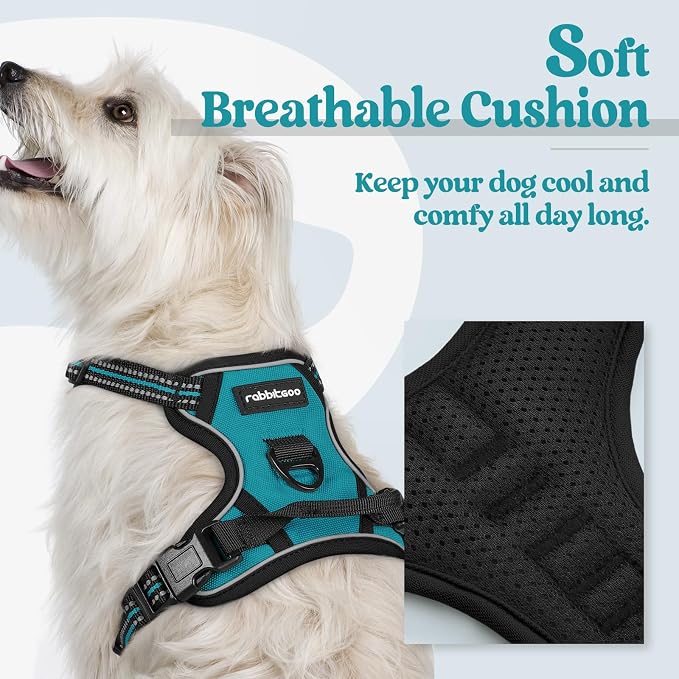 rabbitgoo Dog Harness No Pull with 2 Leash Clips, Adjustable Soft Padded, Reflective Oxford No Choke Pet Vest with Easy Control Handle for Puppy, Teal, XS | No Choke with Handle, Adjustable Soft Padded, Reflective, Easy Control for Walking, Teal, X-Small