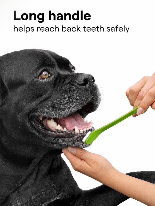 Pet Toothbrush Set of 6 for Dogs & Cats - Dual-Head Dog Toothbrush with Soft Nylon Bristles - Long Handle for Daily Dental Care - Home Use Toothbrush Pack for Small to Large Breed Pets - eBook + App