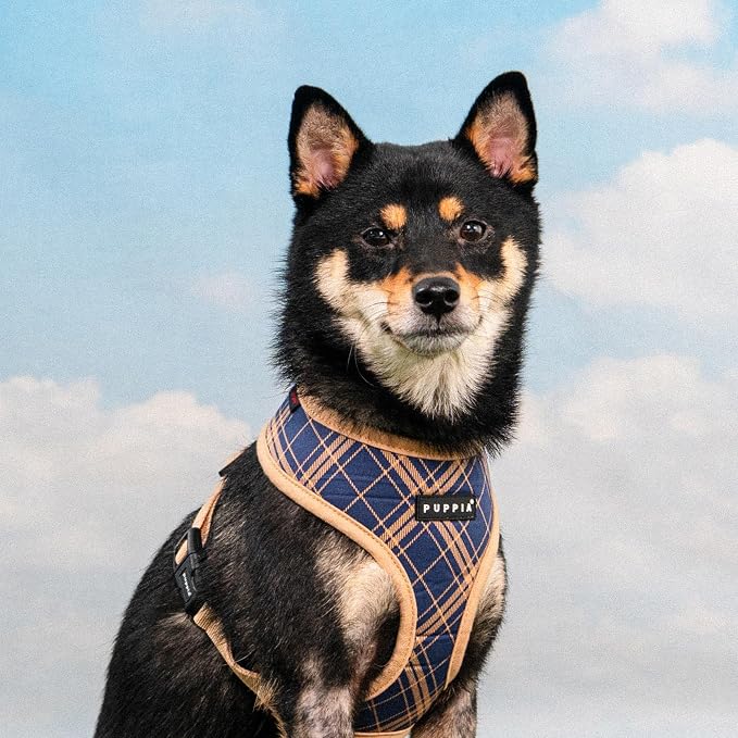 Puppia Corwin Dog Harness A (Over-The-Head) Fashionable Checkered Pattern Spring Summer Harness for Small and Medium Dogs, Navy, X-Large