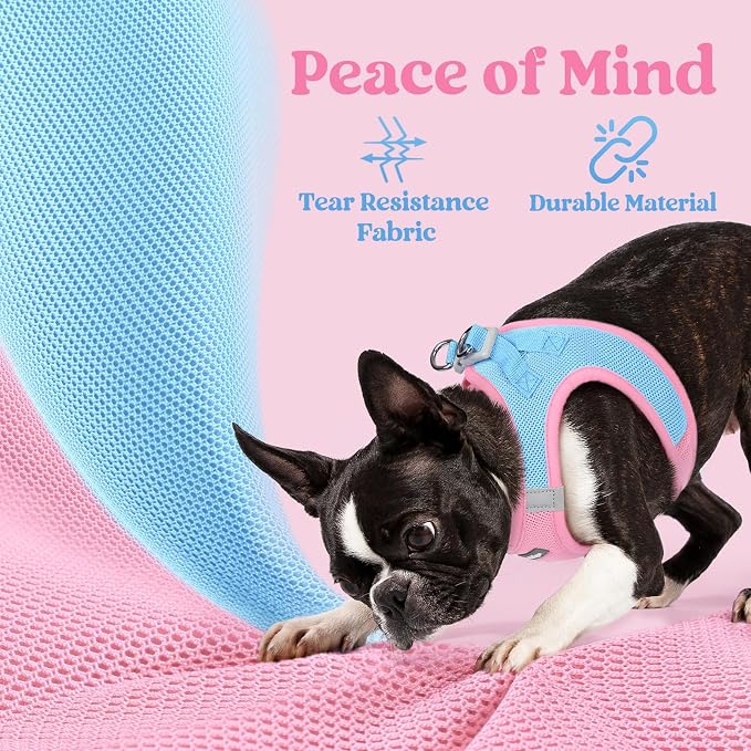 rabbitgoo Step-in Small Dog Harness, Puppy Vest for Small Sized Pet | Easy Put on and off, Lightweight, Soft, Breathable Quick-Dry Air Mesh for Comfortable Secure Walking, Blue & Light Pink S