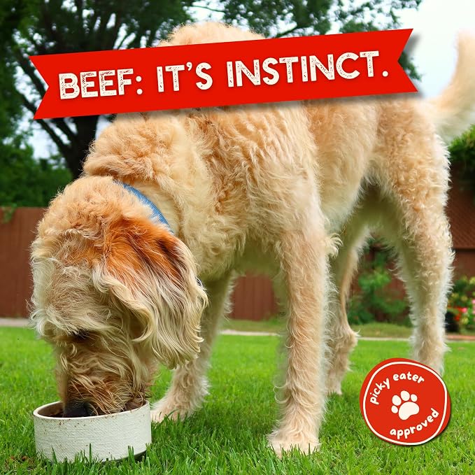 Beg & Barker Beef Dog Food Topper - Single Ingredient, 8oz