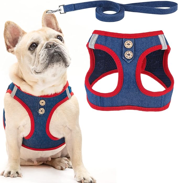 PUPTECK Dog Harness and Leash Set for Small Medium Dogs No Pull Step-in Soft Mesh Puppy Cat Vest Harnesses Reflective at Night, Denim NavyBlue S