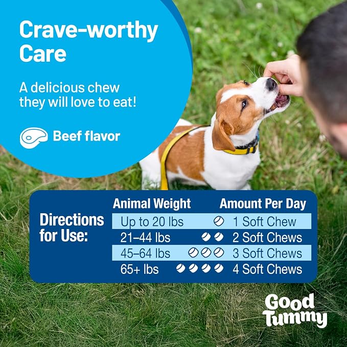 Good Tummy Gut Health Chews for Dogs, Beef Flavor, 60ct