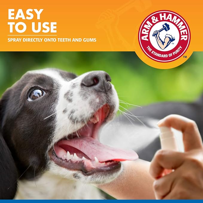 Arm & Hammer Tartar Control Dental Spray for Dogs, Mint, 4 Fl Oz | Brushless breath freshener with baking soda helps reduce plaque and tartar buildup