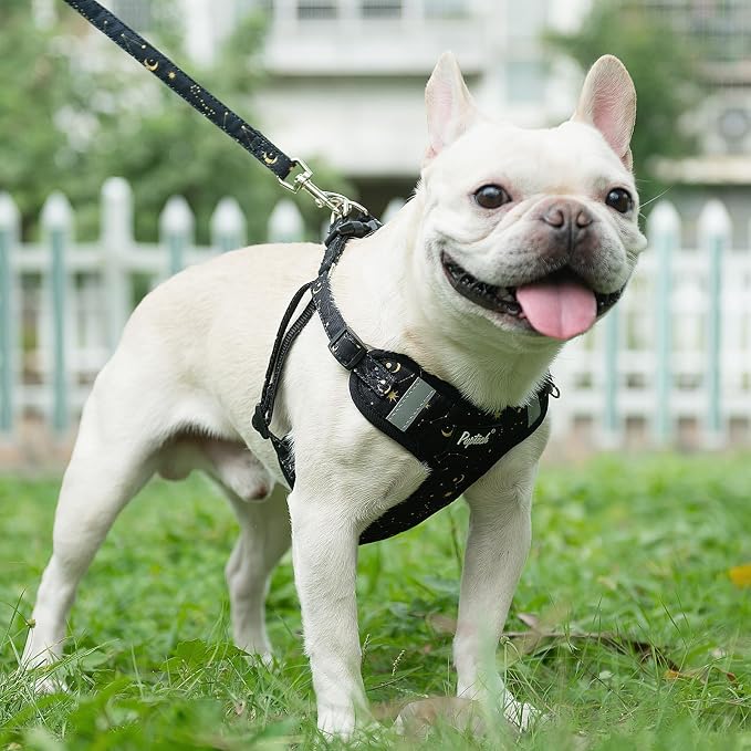 PUPTECK Dog Harness and Leash Set Medium Sized, Step in No Pull Adjustable Puppy Cat Harness Reflective Pet Vest