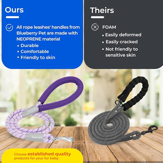 Blueberry Pet Essentials Rope Leash 4 ft Heavy Duty, Neoprene-Padded Grip, Eco-Friendly & Durable in Turquoise for Medium & Large Dogs