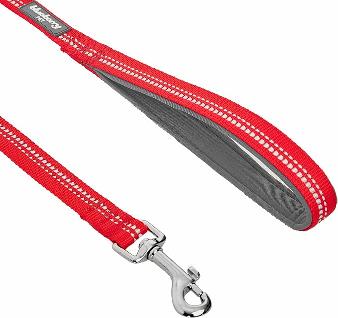Blueberry Pet 3M Reflective Pastel Color Dog Leash with Soft & Comfortable Handle, 4 ft x 1", Red, Large, Leashes for Dogs