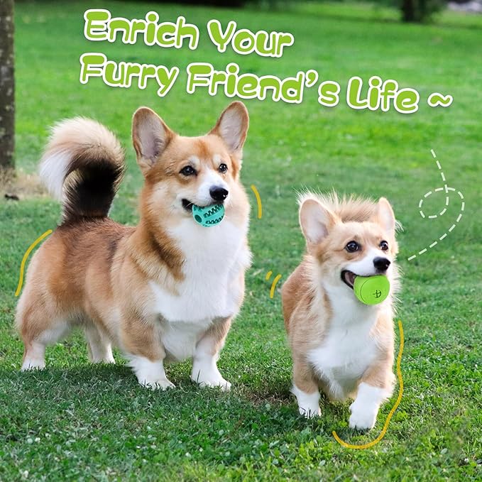 HIPPIH Dog Puzzle Toy 2 Pack, Interactive Dog Toys for Treat Dispensing | Durable Puppy Enrichment Toys, Dog Treat Ball for Teething, Slow Feeder, IQ Training, Blue-2.75'', Green-3.14