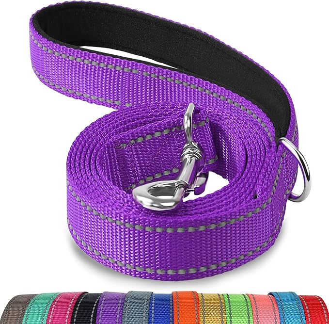 Joytale Reflective Dog Leash for Medium & Large Dogs, 4 FT x 1", Purple | Heavy Duty Nylon Webbing, Padded Handle for Comfort, Visible at Night, for Walking & Training