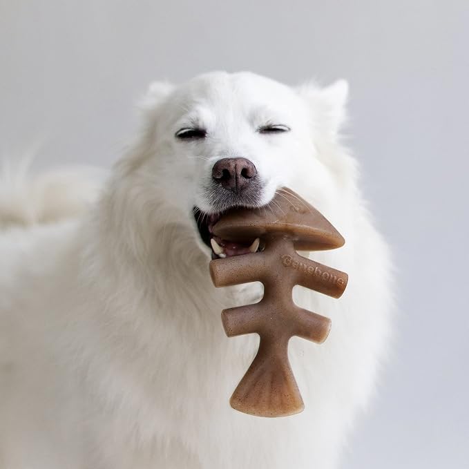 Benebone Maplestick and Fishbone Durable Dog Chew Toys for Aggressive Chewers, Made in USA
