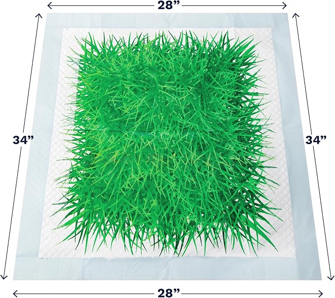 Big Dawg Pet Supplies Absorbent Puppy Pee Pads for Dogs & Cats – XL 28x34in Disposable Pet Pads – Handy Grab-n-Go Box – Potty Training & Housebreaking Supplies – Color, Grass – 30pc