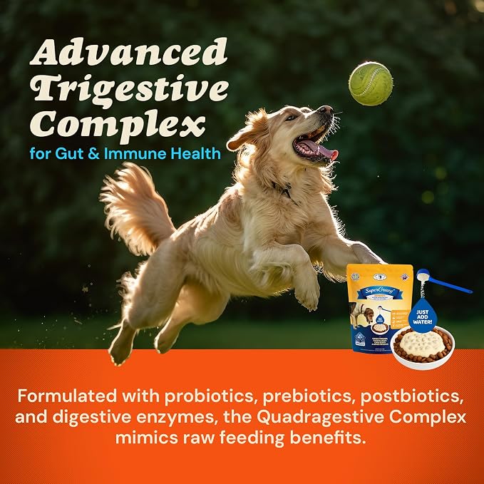 CLEAR CONSCIENCE PET® Arfredo SuperGravy® Dog Food Topper Hydration Broth Mix Greek Yogurt Cheese Blend Kibble Seasoning Probiotics Prebiotics Enzymes Taurine, 2.1 oz. 14 Scoops All Life Stage