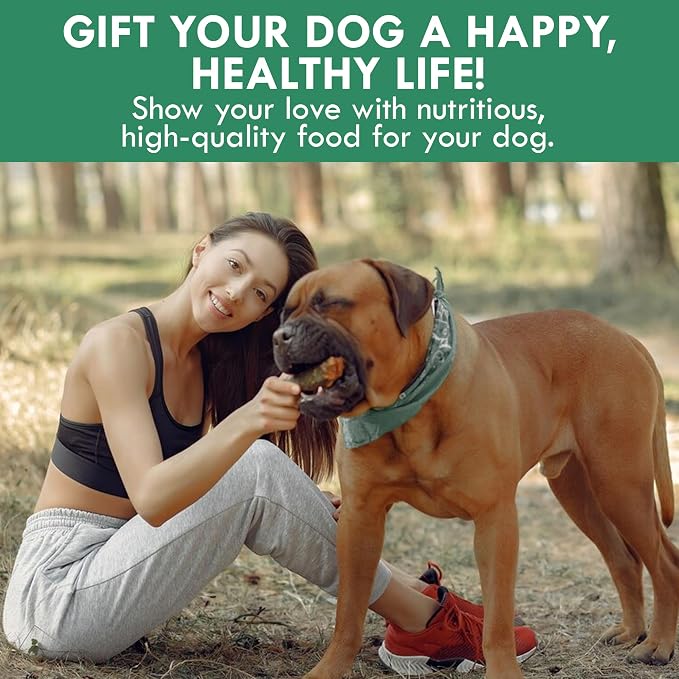 Holistic Bin Canine Super Immune Blend | Nutrient-Rich Dog Food Toppers, Plant-Based Supplements for Pets | Greens, Mushrooms and Probiotic Wellness Blend | Ideal for Aging Dogs | Immune Powder (100g)