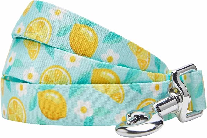 Blueberry Pet Zesty Fruit Collection Refreshing Lemon Dog Leash, Medium Size, 3/4” Width x 5 ft Length, Durable Stylish Pet Leash