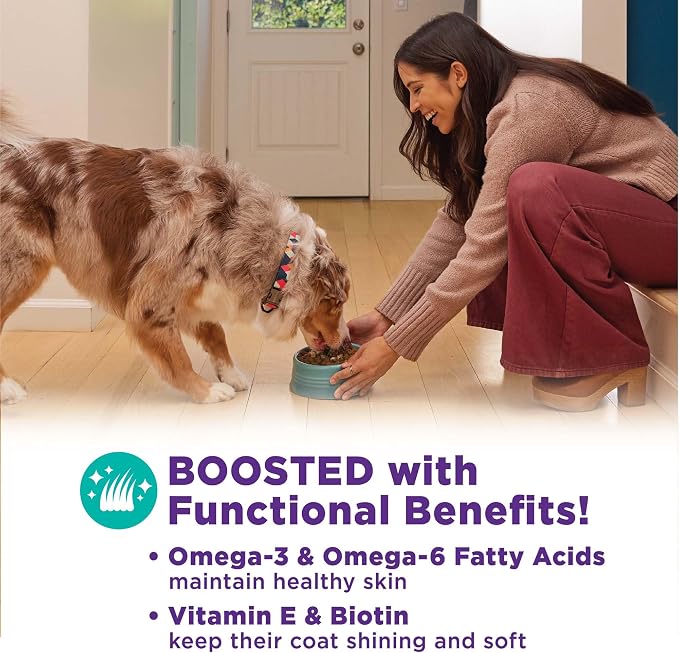 Wellness Bowl Boosters, Dog Food Topper for Small, Medium, & Large Breeds, Grain Free, Natural, Freeze Dried, Skin & Coat Health Chicken, 4 Ounce Bag (Pack of 2)