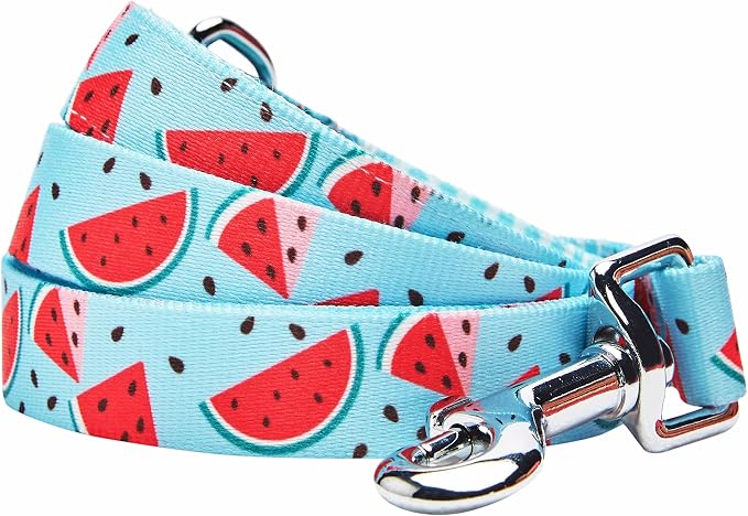 Blueberry Pet Summer Sparkle Dog Leash, Small Size, 5 ft x 5/8", Blue, Zesty Fruit Watermelon Print Pet Leash