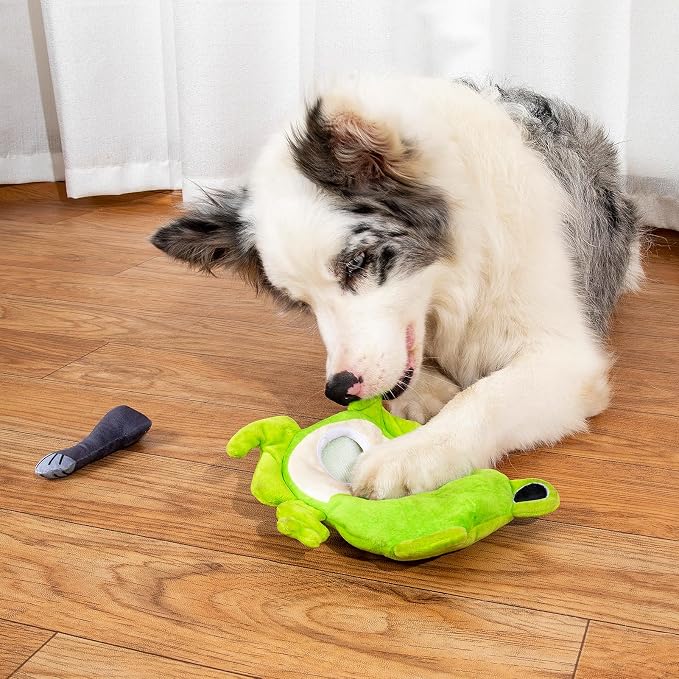 Hollypet Squeaky Hide and Seek Dog Toys for Small and Medium Dogs, Frog | Interactive Plush Stuffed Dog Squeak Toys for Small Medium Sized Dogs and Non-Aggressive Chewers, Puppy Teeth Clean Chew Toys