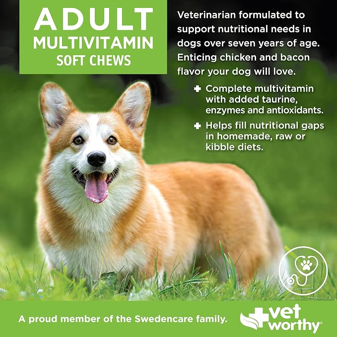 Vet Worthy Adult Multi Soft Chews - Daily Multivitamin for Dogs - 60ct | Supports Immunity, Metabolism, & Maintenance - Daily Dog Chewable Supplement - Chicken & Bacon Flavor