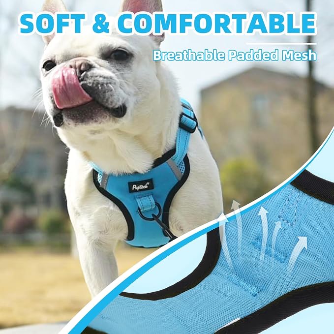 PUPTECK Dog Harness Small Sized Dog, Step in Adjustable Reflective Dog Vest Harness Escape Proof, No Pull Soft Padded Harness Easy Control, Blue, XS
